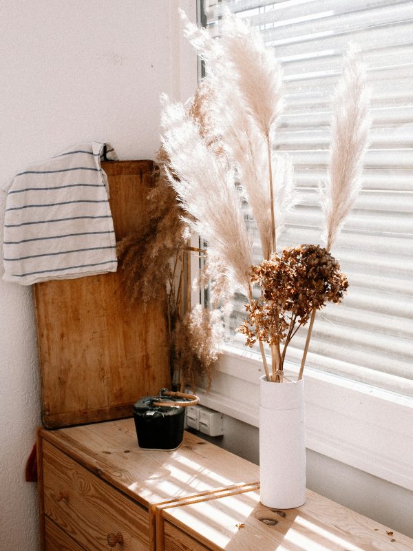 birgith-roosipuu-CpQ4CqijNZI-unsplash